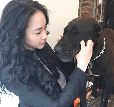 Dajinism schöne galerie