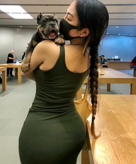 Dajinism schöne beste bilder