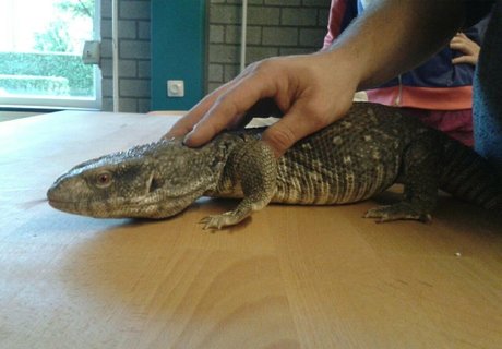 oma pawg onlyfans hd kunst archiv