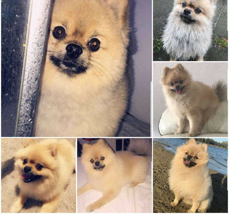 hentai onlyfans nackt xxx fotos