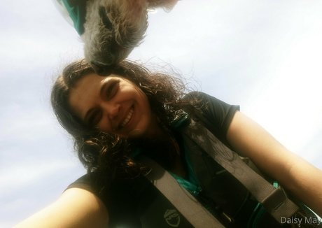 ebenholz-oma nur fans schöne archiv