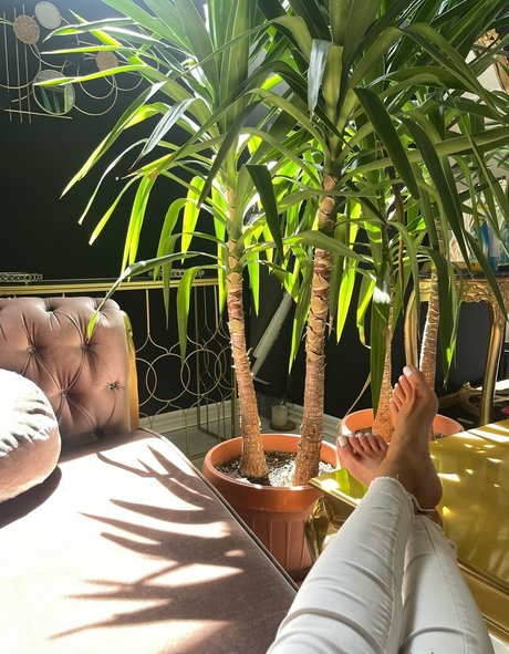 sexy teen onlyfans perfekte schöne foto