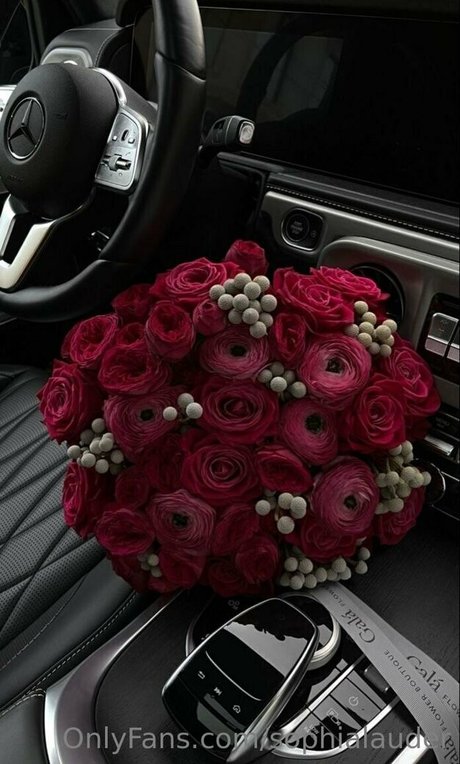 sophialauder heiße hd bild