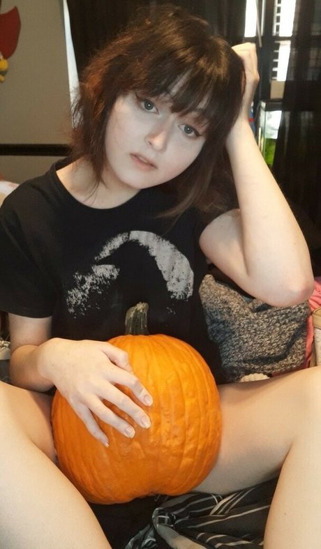 korvid snd top schöne archiv