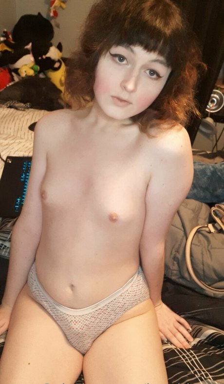 korvid snd model freie fotos