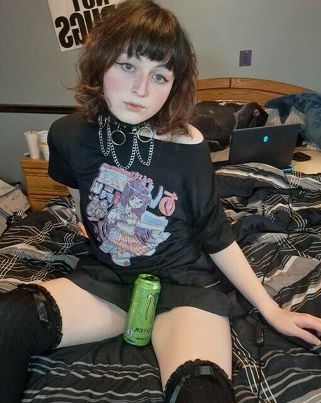 korvid snd nette galerien