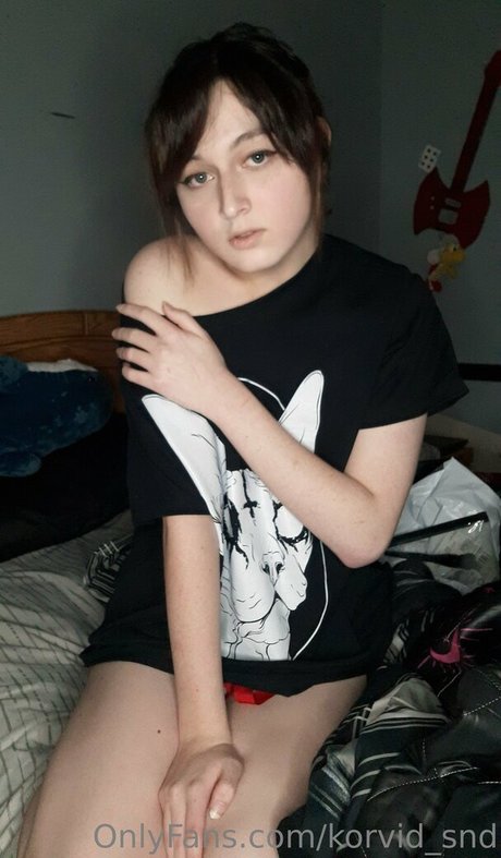 korvid snd kostenlose exklusive galerien