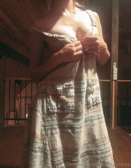 bunnybiifree perfekte hd bilder