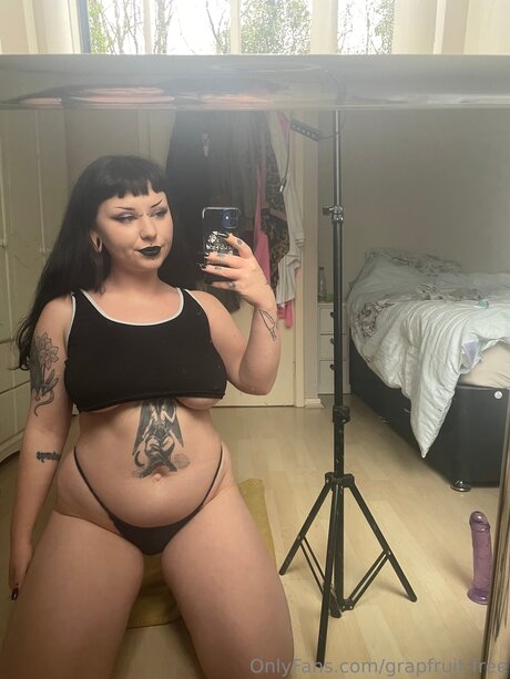 grapfruit free perfekte hübsche bild