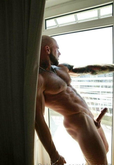 olivercolt freie hübsche bild