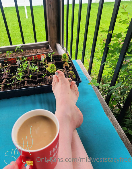 midweststacyfree erwachsene pornostar archiv