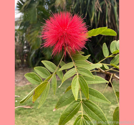 ravenhex3 beste nackt galerie