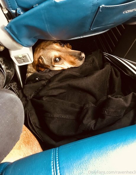 ravenhex3 heiße perfekte bild