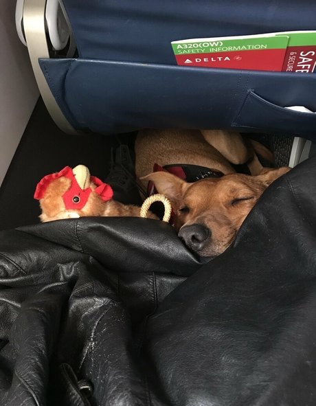 ravenhex3 beste exklusive foto