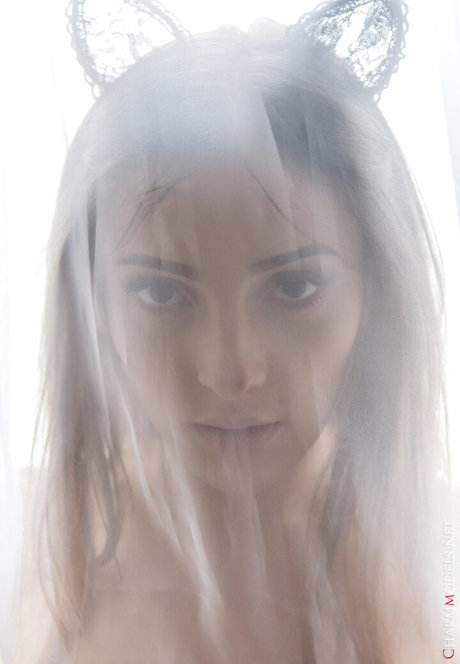 blondes cowgirl nur fans beste porno galerien