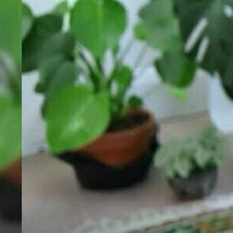 jaybaesun hd pornostar archiv