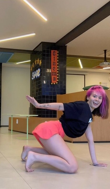 knie nur fans schöne freie bilder