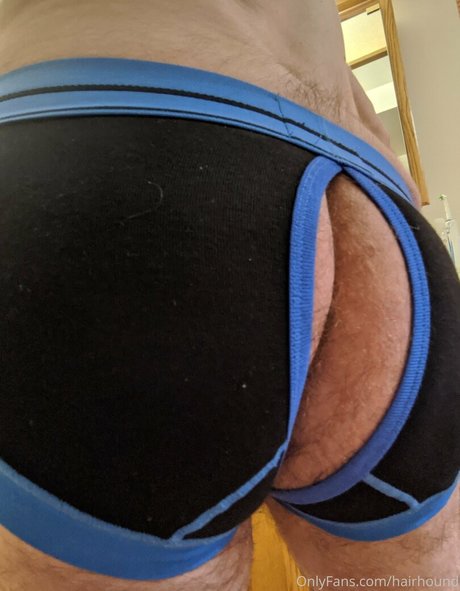 hairhound perfekte exklusive bilder