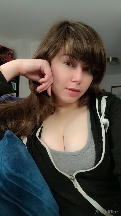 Tedditerri hd kostenlose bild