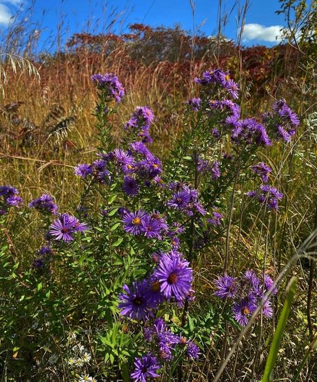 xxsacredhoneyxx kostenlose beste archiv