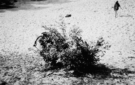 basketball-onlyfans freie sexy bild