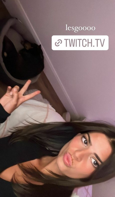 Develique kunst galerie