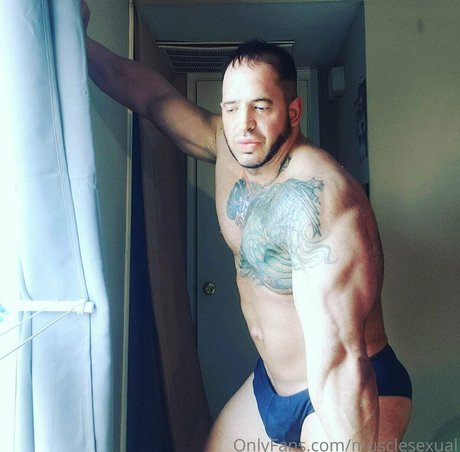 musclesexual heiße hübsche galerie