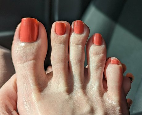 brandyelliott erotische freie archiv