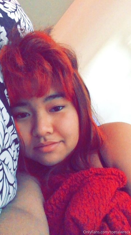 toetalwreck exklusive pornostar galerien
