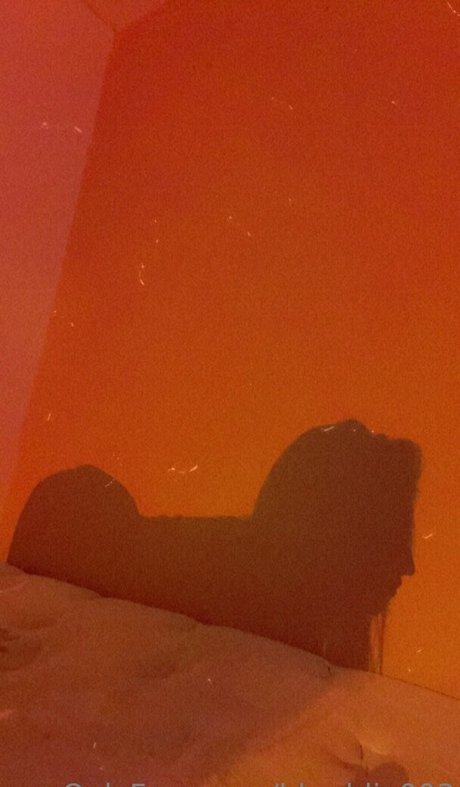 bbaddie003 freie perfekte fotos