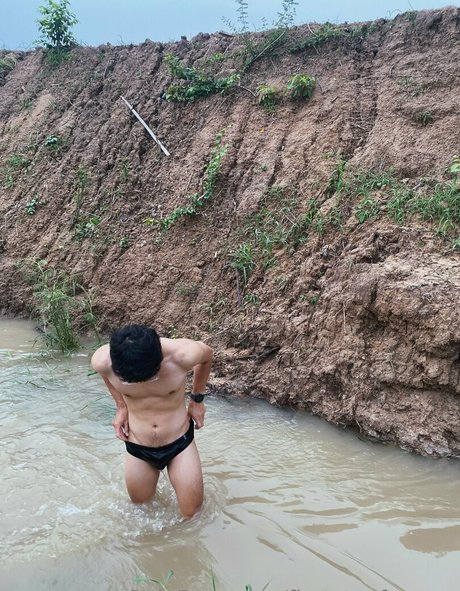 firststepforman schöne perfekte galerien