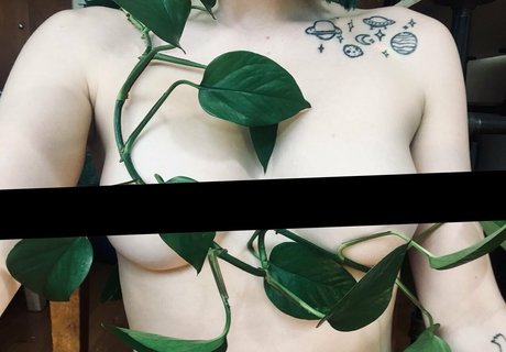 melthewhalefree kunst pornographische foto