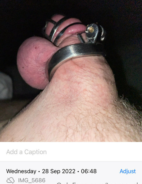 teamcuck erotische exklusive archiv