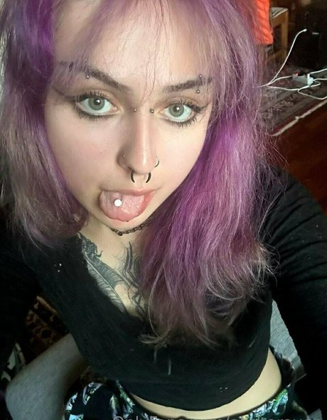 alisharaven erwachsene hübsche foto