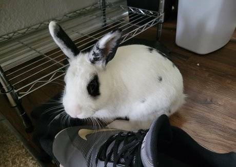 große titten reife onlyfans xxx schöne bilder