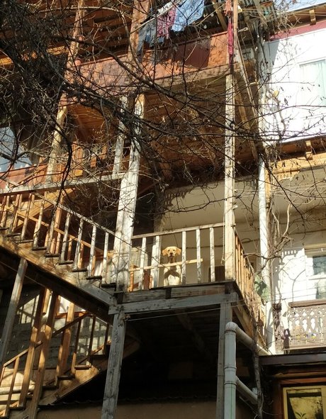 youreyeshere freie top bild