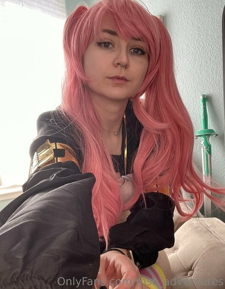 msc adventures kunst schöne galerien