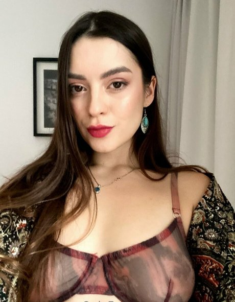 vera venera kunst nackten galerien