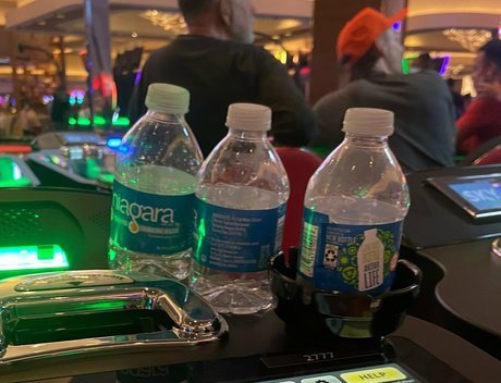 piper pipin pies erotische top galerie