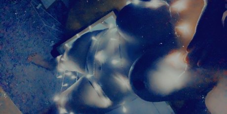 lovelola1463 erwachsene sexy galerie