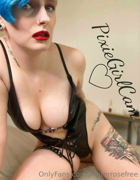 winterrosefree top sexy bilder