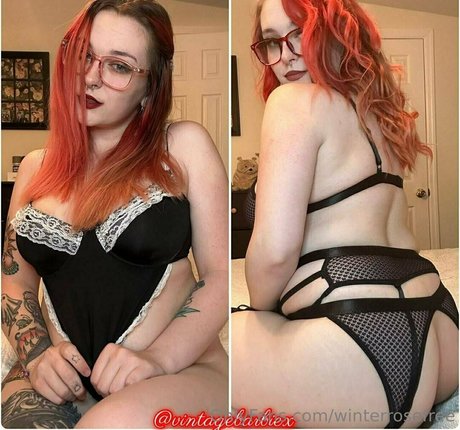 winterrosefree kostenlose beste galerien