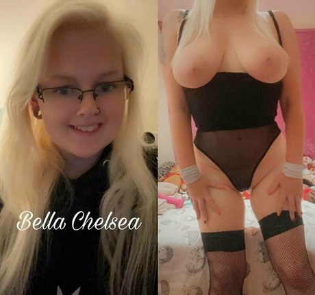 winterrosefree kostenlose hübsche bild