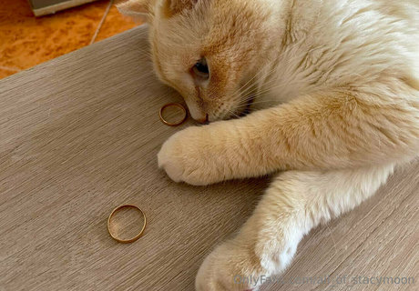 all of stacymoon model akt archiv