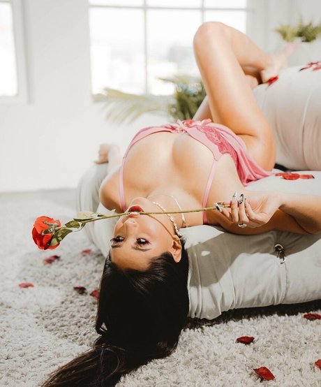 samfrank kostenlose exklusive galerie