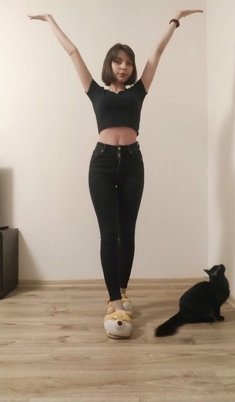 OwlLit hübsche schöne bilder