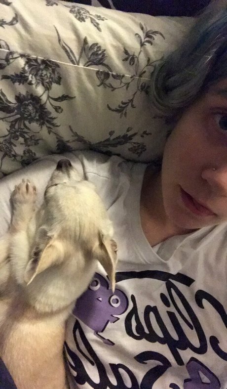 heidivfree top hd galerien