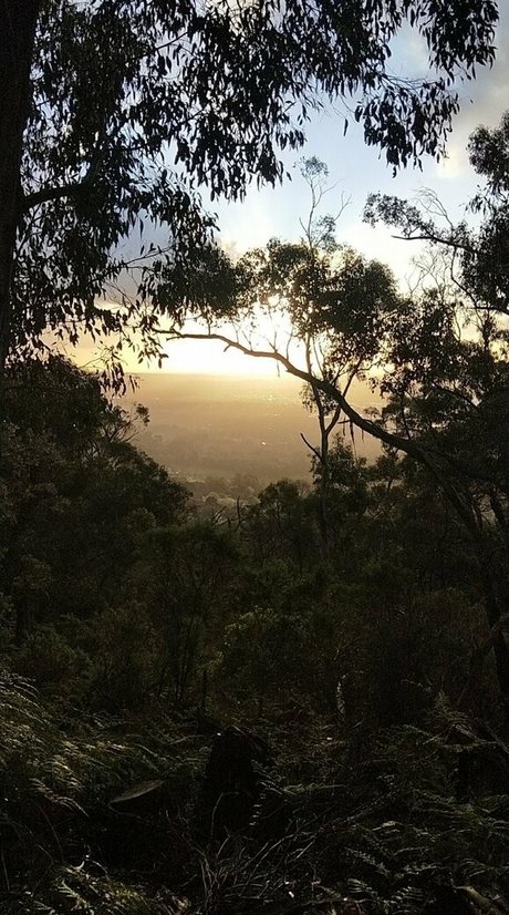 ebenholz-trans-onlyfans nackt top galerie