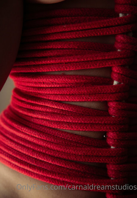 carnaldreamstudios hd beste bilder