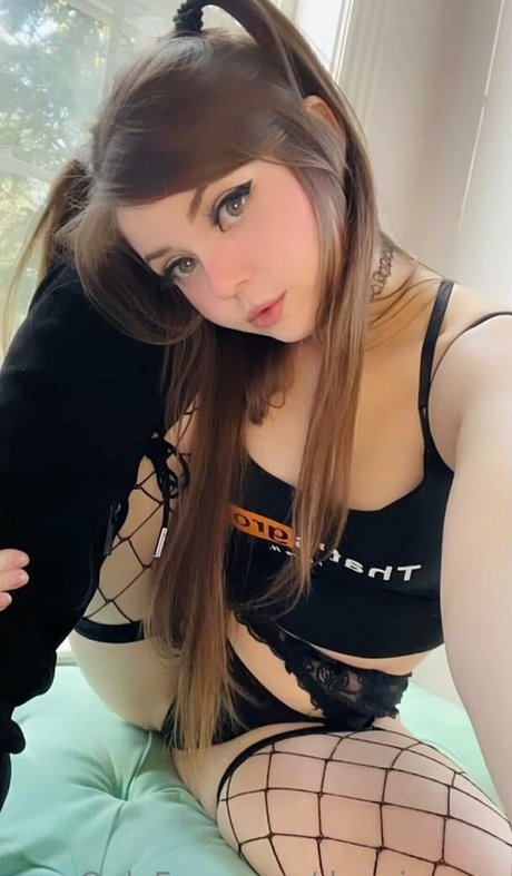 DanniMeow perfekte kunst archiv